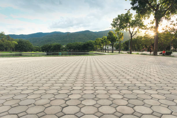 Best Custom Driveway Pavers  in Kaanapali, HI
